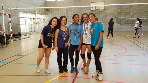 Volei medal215238